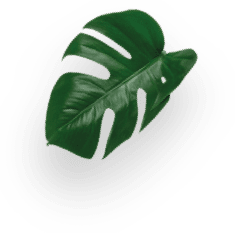 Еспресо Мілано decoration Image